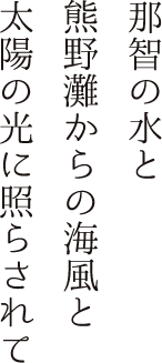 那智の水と熊野灘からの海風と太陽の光に照らされて